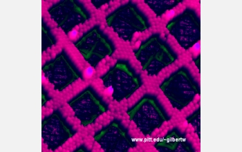 Polystyrene nanoparticles dynamically deposited into poly (dimethylsiloxane) grooves