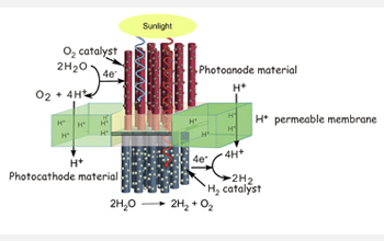 Drawing of a proposed assembly for the production of oxygen and hydrogen from water and sunlight.