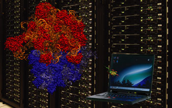 Comparison of structure of muscle protein with structure of ribosome