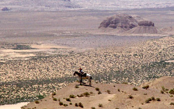 The Qaidam Basin, the largest terrestrial basin on the Tibetan Plateau