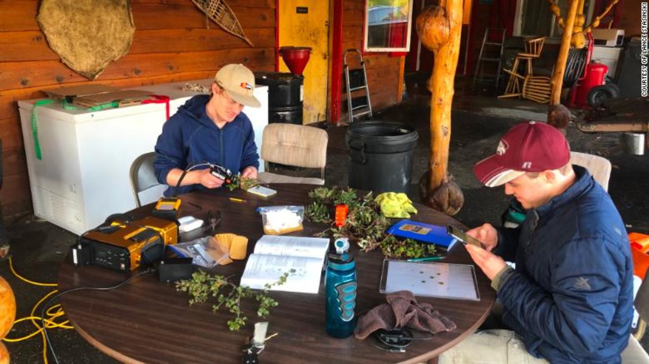 two guys studying plants on a table