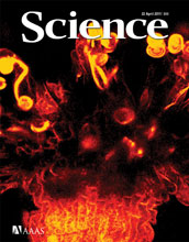 Cover of the April 22, 2011 issue of the journal Science.