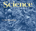 Cover of the June 8, 2012 issue of the journal Science.