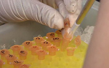 Lab research with test tubes labeled with letters