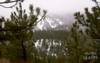 Snow covered mountain ridge through trees