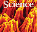 Cover of the August 28, 2009, issue of Science magazine.