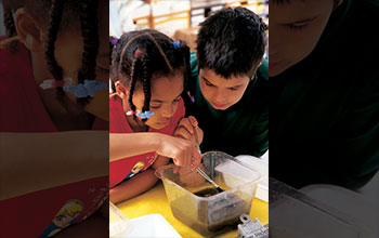 Children search for microorganisms on leaves in Gatorville Outdoor Classroom