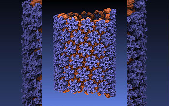 First all-atom structure of an HIV virus capsid in its tubular form