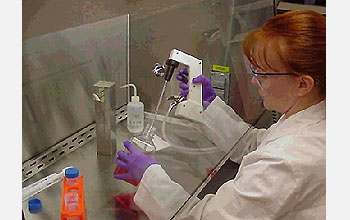 Student works on a project to grow cells that will later combine with a degradable plastic material