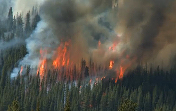 Aerial view of a wildfire