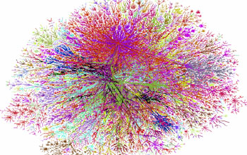 A map of the Internet, colored by IP addresses