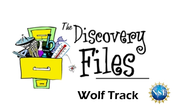 overstuffed filing cabinet with text The Discovery Files