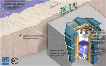 The XENON100 detector that detects weakly interacting massive particles