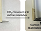 small diameter carbon nanotubes grown on a stainless steel surface