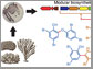 marine bacteria producing organic compounds