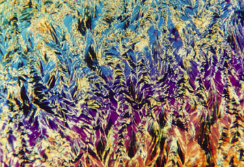 Polarized light microscopy is used for direct observation of materials during freezing and freeze drying.