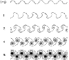 Vortex sheets showing increasingly winding spirals